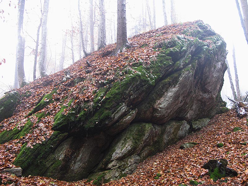 waldviertel